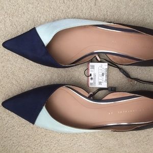 Zara ColorBlock Pointy Flats